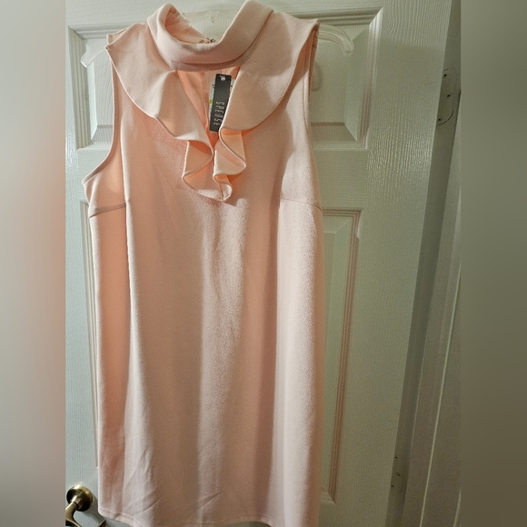NWT Short Dress. Size 14. Light Blush Color. - Picture 6 of 9